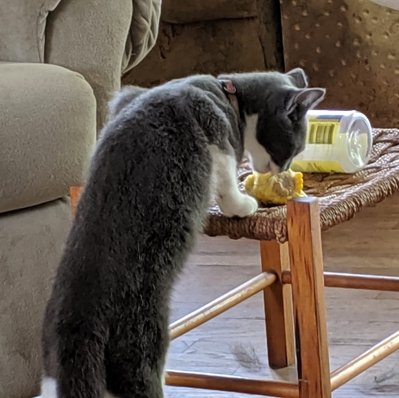 Meet your Posher, Ruth - Picture 1 of 1